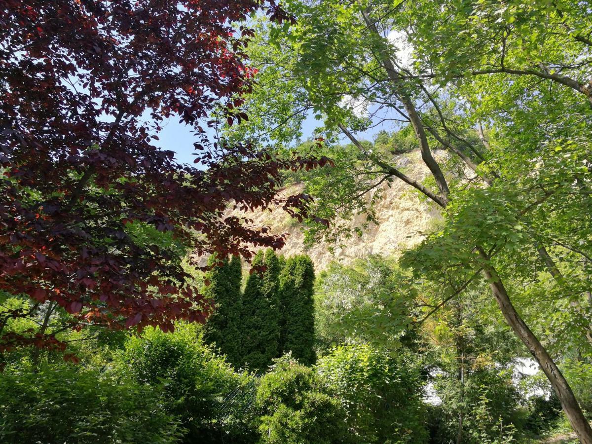Cabin In The Woods Apartment Budapest